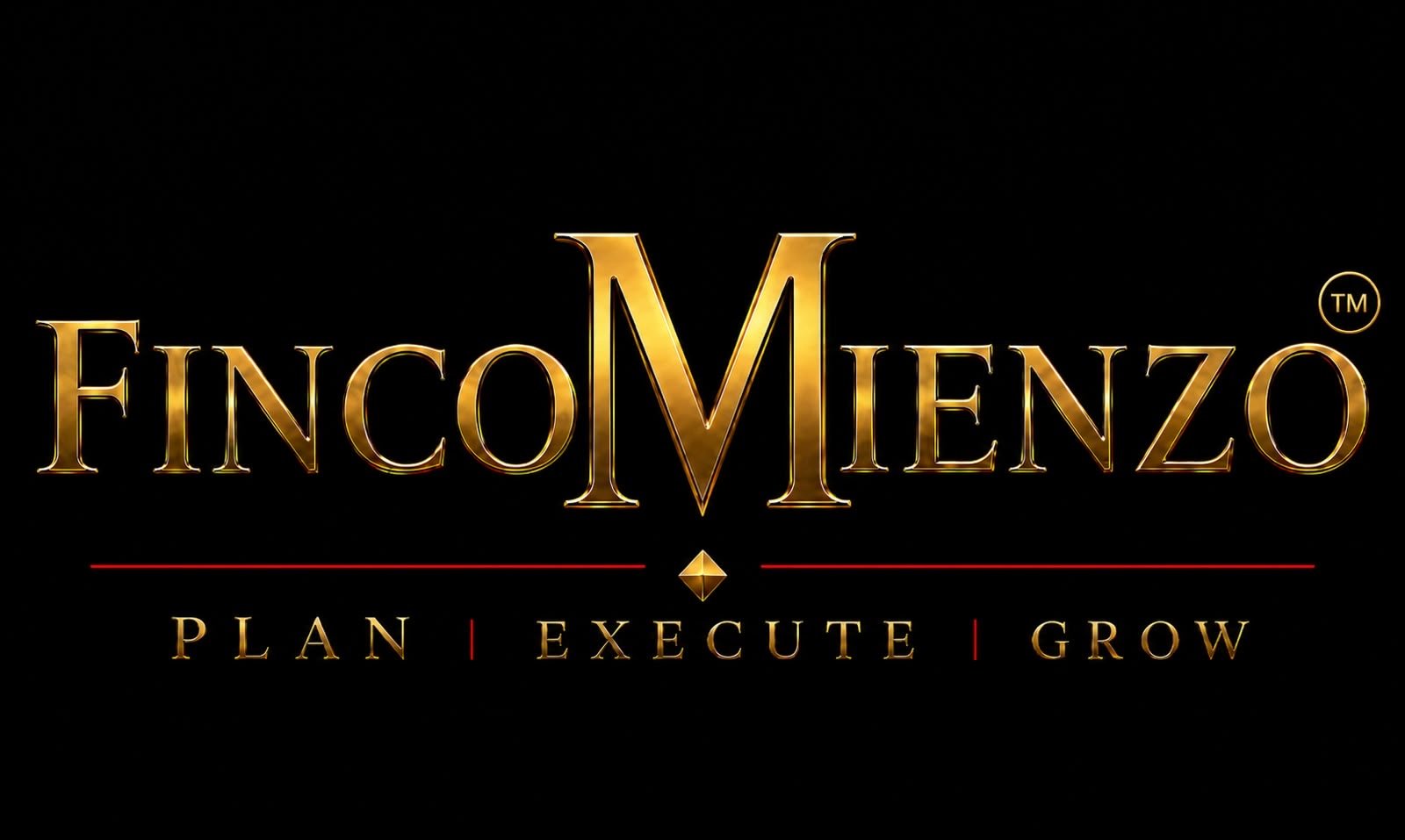 FinComienzo — Plan. Execute. Grow.